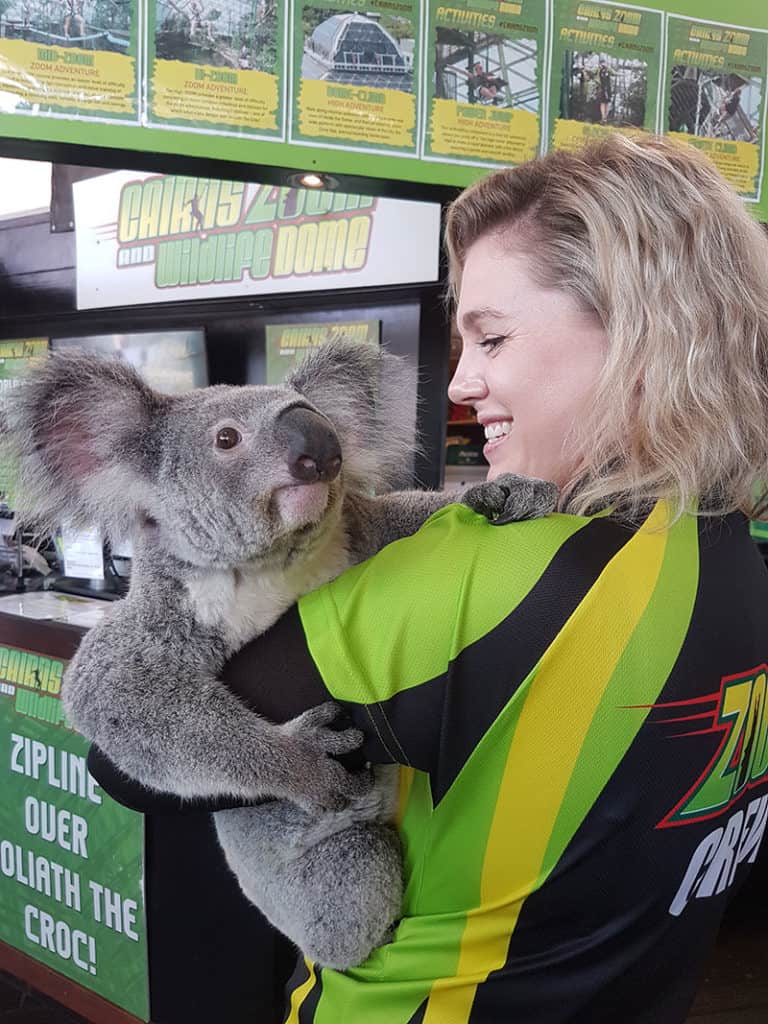 cairns zoom and wildlife dome keeper stacey with vovo the koala