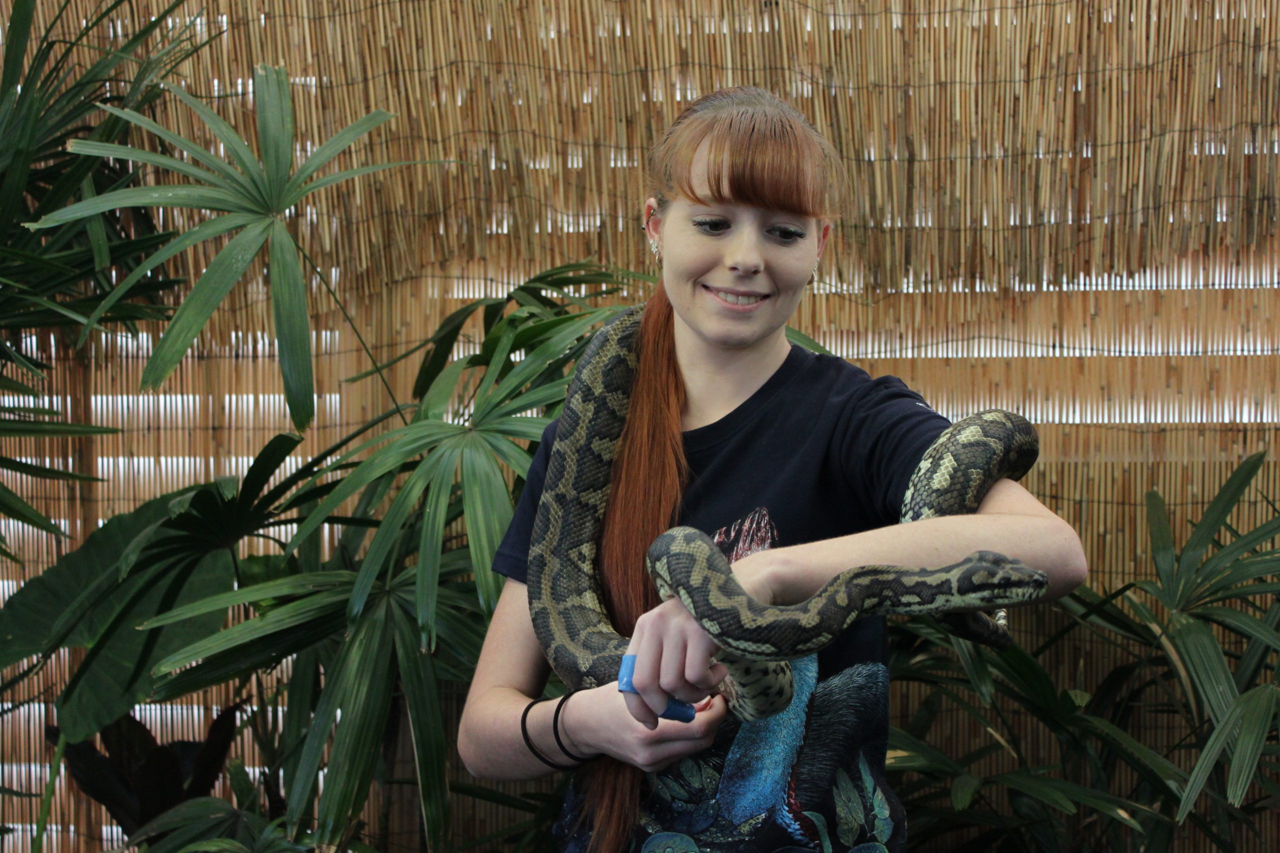 All Ability Wildlife Experience | Cairns Zoom & Wildlife Dome